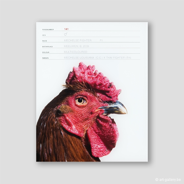 VANMECHELEN Koen - Mechelse Fighter